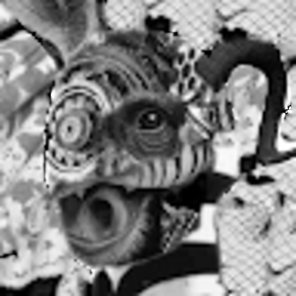 Meet your Posher, Viv - Picture 1 of 1